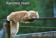 №20 Светлана Квач 01.08: профиль, фото, статус - ВКонтакте