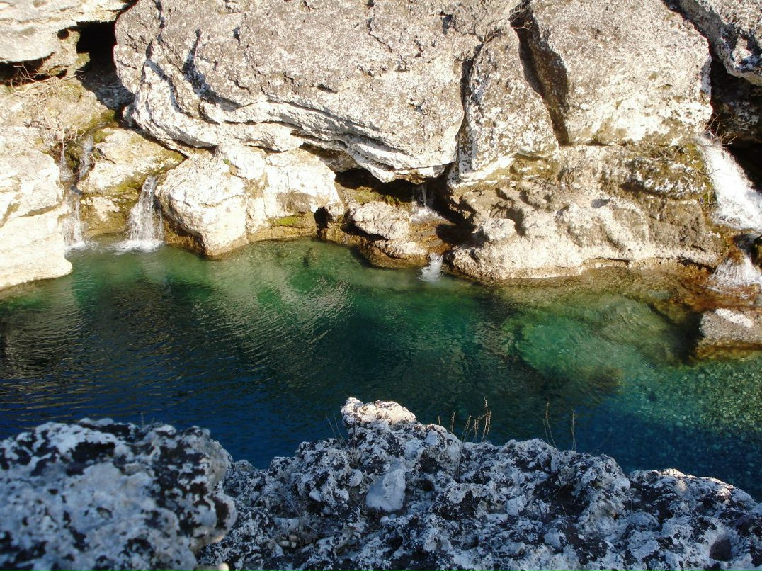 Ольга Алпатова | Иркутск