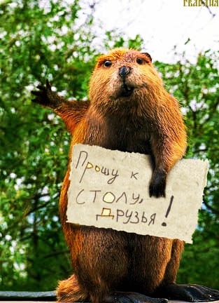 №89, Рустам Che №89, Рустам Che