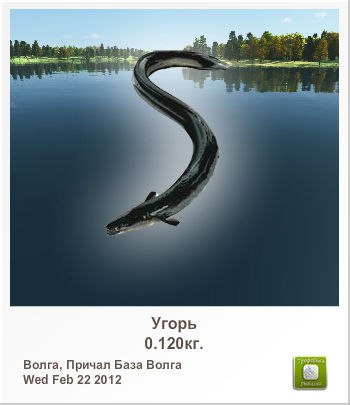 Вовочка Железкин | Великий Новгород