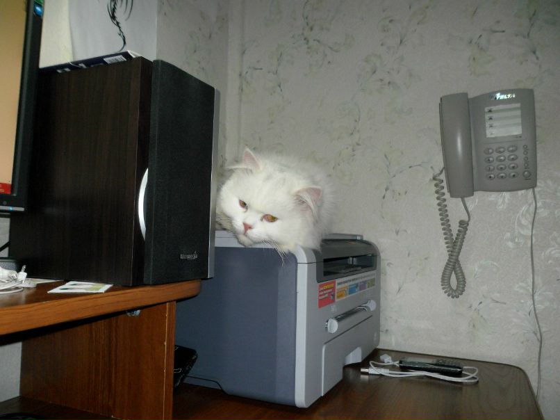 Дмитрий Акунеев | Бузулук