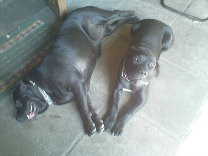 Антон Цыпкин | Москва