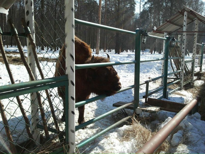 Яна Радионова | Москва