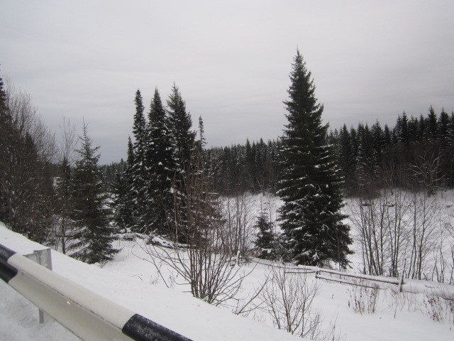 Вера Арапова | Екатеринбург