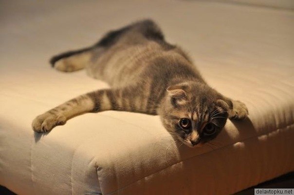 Ольга Невич | Гродно