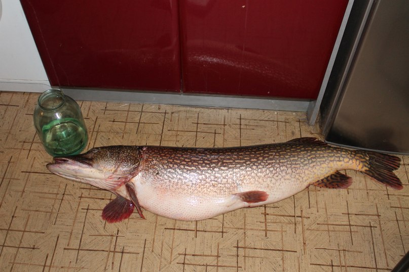 Наталья Фомина | Самара