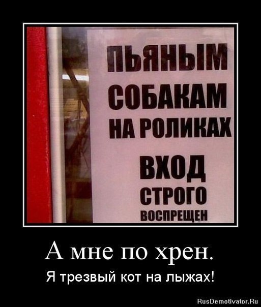 Egor Dzhan | Санкт-Петербург