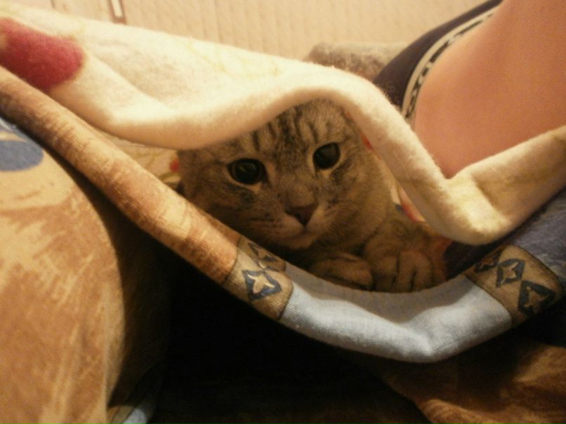 Ксения Ахметова | Тольятти