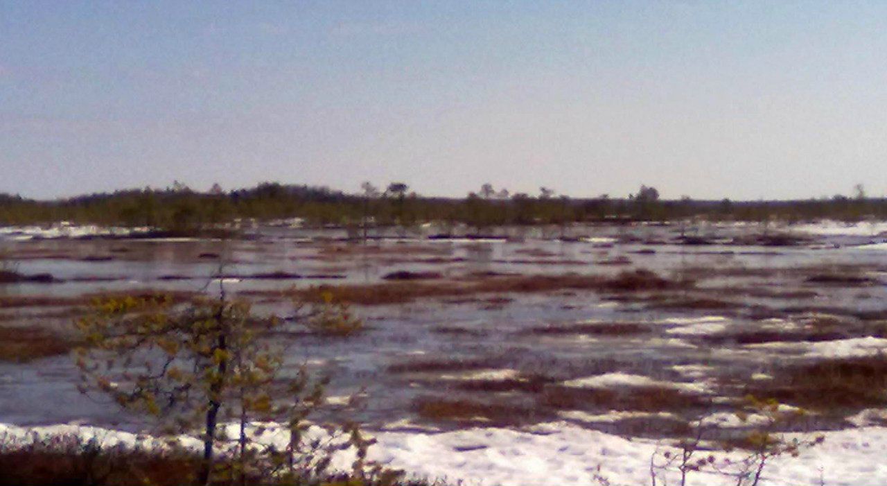 Айдар Ахметов | Туймазы