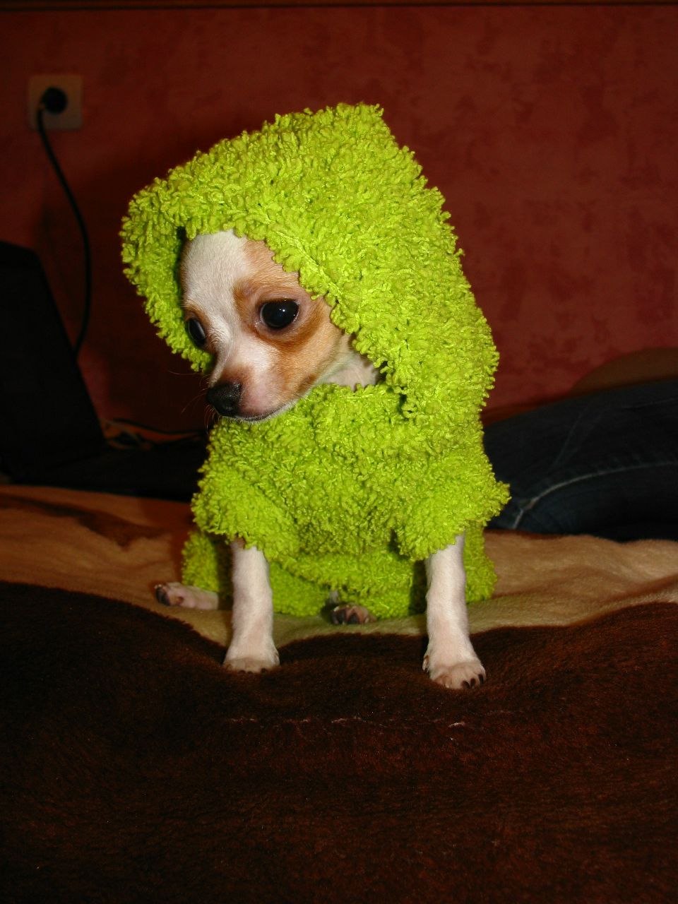 Машуля Владимировна | Александров