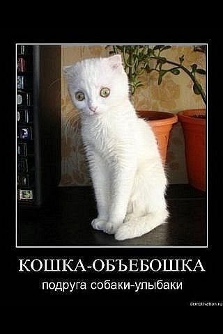 Марина Бордиловская | Санкт-Петербург