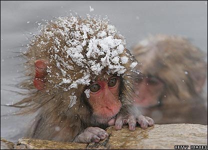 Марьяна Платонова | Кривой Рог