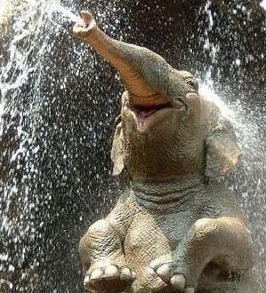 №144, Олейник Андрей, 37 лет, Кременчуг №144, Олейник Андрей, 37 лет, Кременчуг