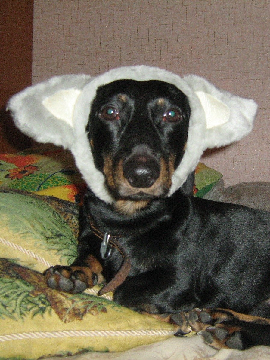 Александр Зайцев | Череповец