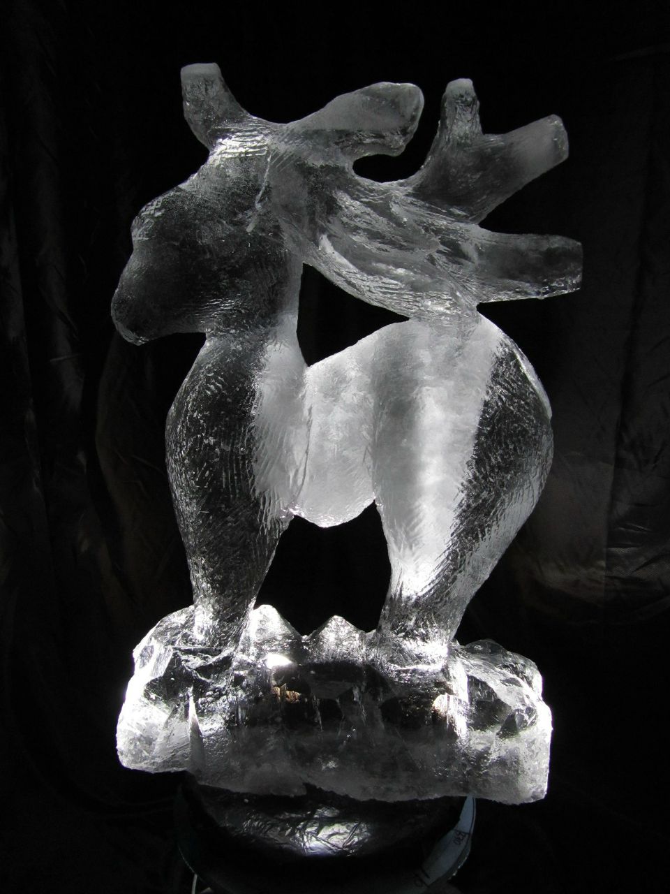 Владислав Тутка | Донецк