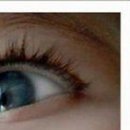 №88, Екатерина Волкова №88, Екатерина Волкова