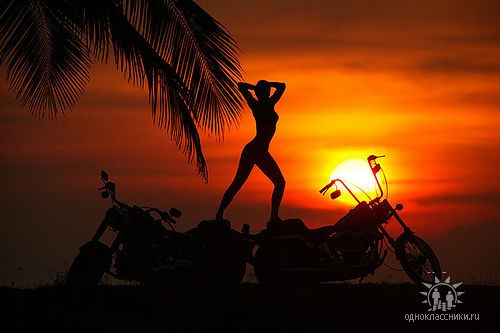 Алексей Максимчук | Бендеры