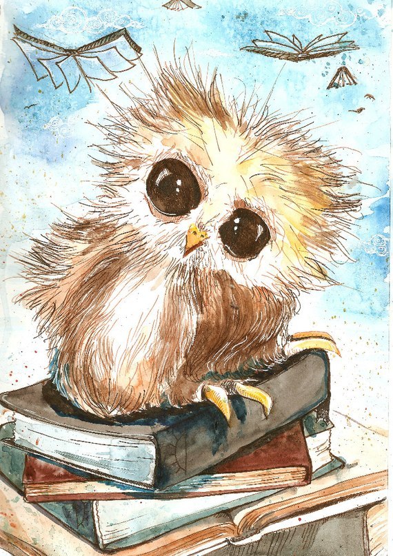 Sergii Anpilogov =^_^= | Abu Dhabi