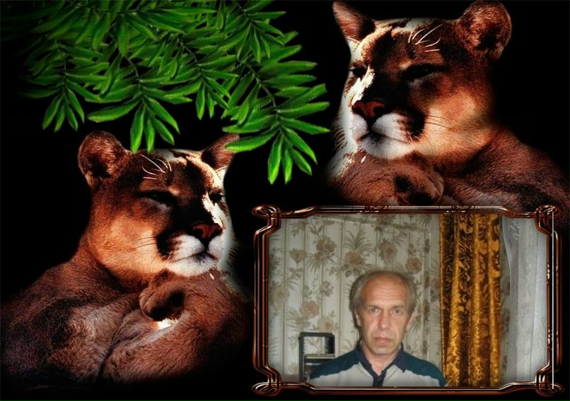 Алексей Анисимов | Северодвинск