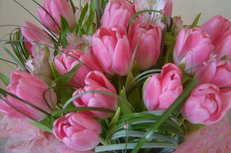 Олеся Панина | Череповец