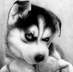 №2, Love-Me Yes, 29 лет, Севастополь №2, Love-Me Yes, 29 лет, Севастополь