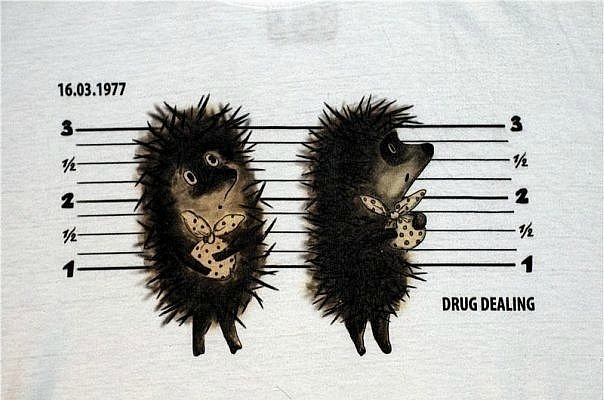 №49, Кристина Горец, 36 лет, Павлоград №49, Кристина Горец, 36 лет, Павлоград