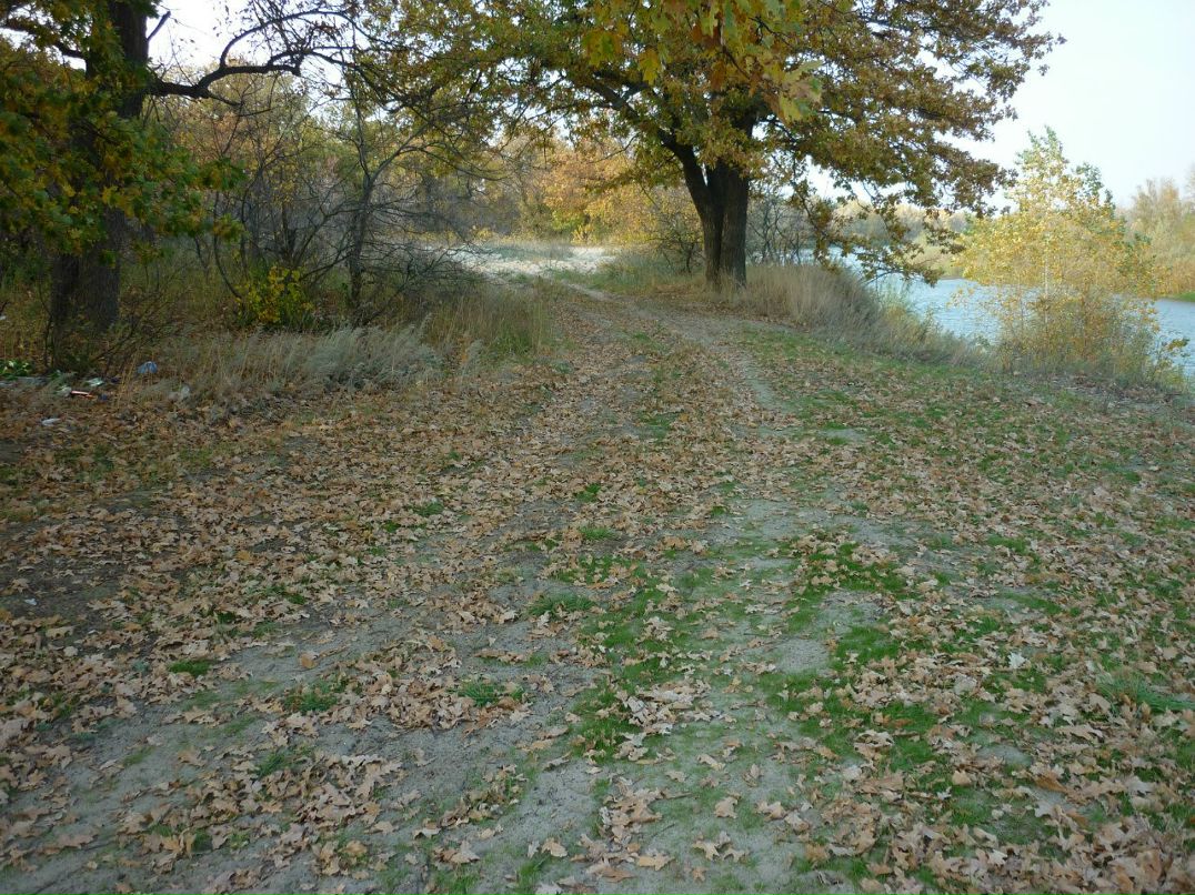 Виталий Селиванов #Morgan# | Михайловка