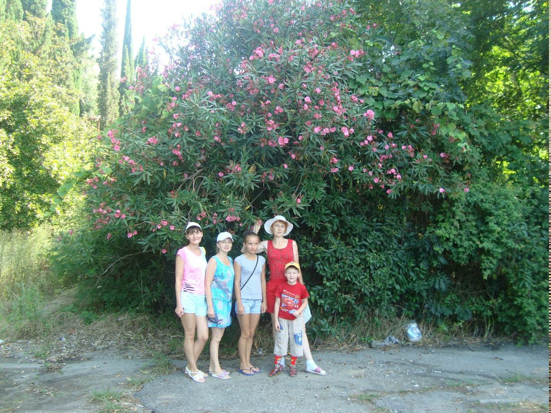 Светлана Тронина Борисовна | Ижевск