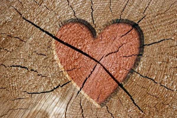 Рома Бланд | Калуш