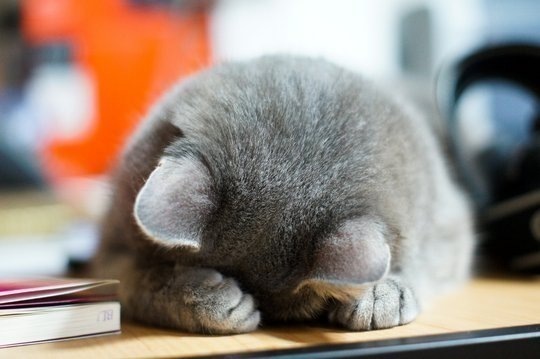 №107, Катерина Гордеева №107, Катерина Гордеева