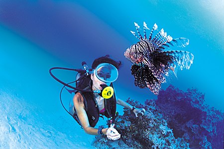 Алёнка Ракова | Луганск