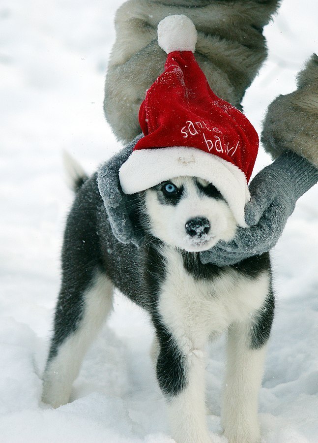 Денис Галимов | Набережные Челны