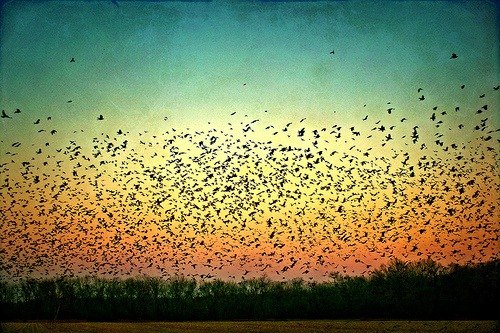 Святослав Безпальчук | Житомир