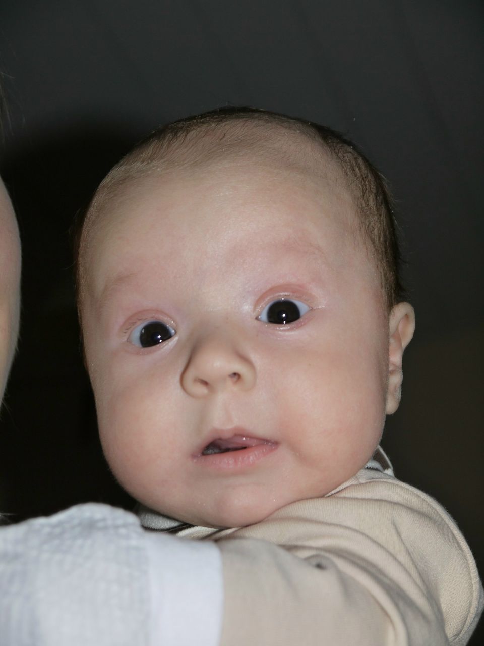 Валентин Сытник | Москва