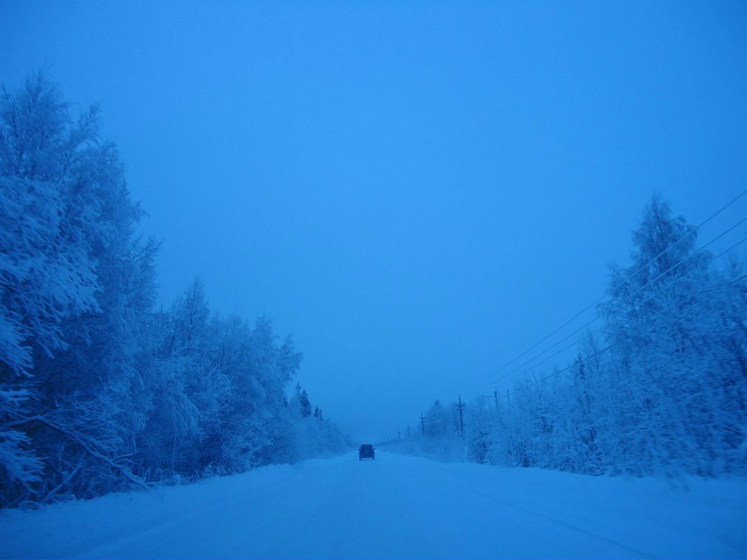 Надежда Белоконь | Архангельск