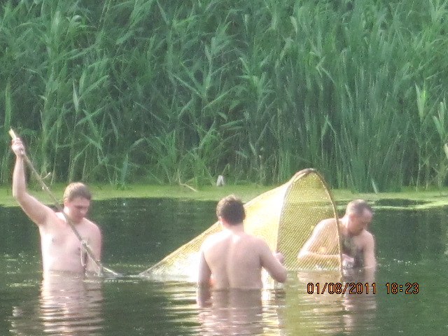 Алексей Шевченко | Москва