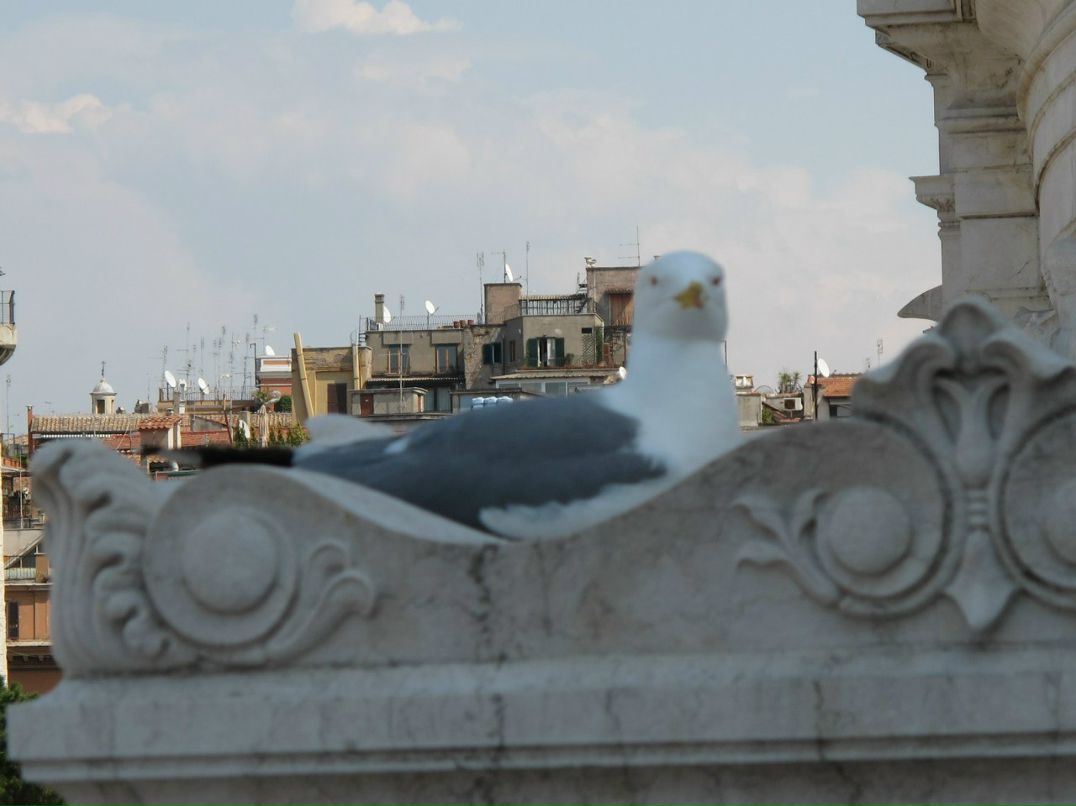 Владимир Филинов Станиславович | Санкт-Петербург