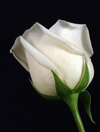 Huseyin Akdora | İstanbul