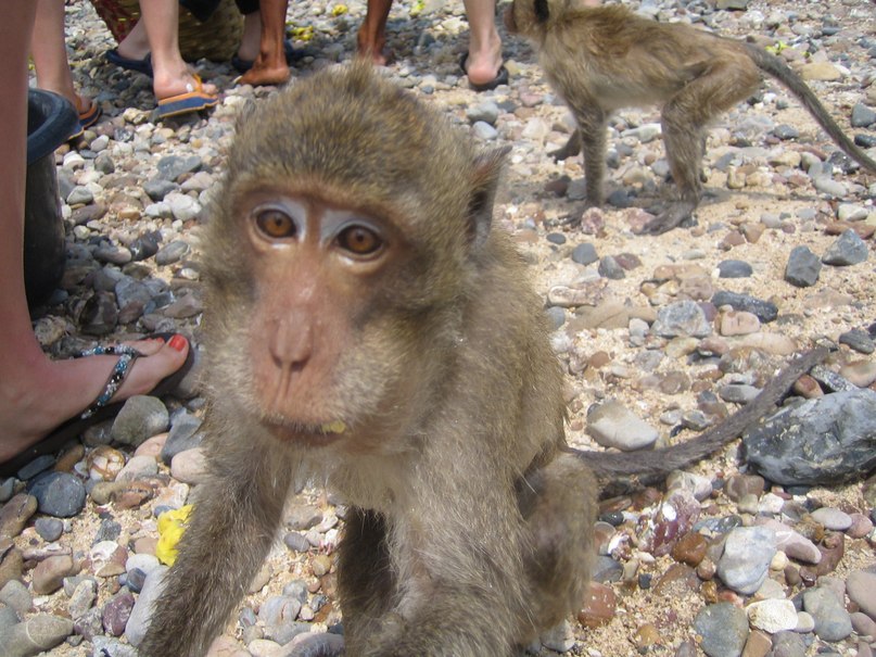 Маша Овчинникова | Москва