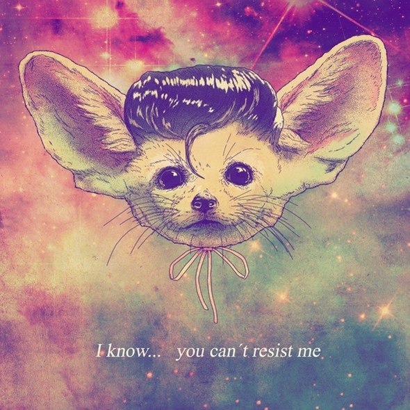 Sharafetdinova Alsu مسلم | Москва