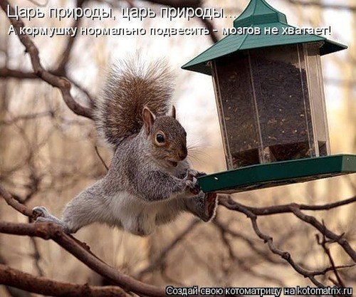 №1, Света Патрушева №1, Света Патрушева