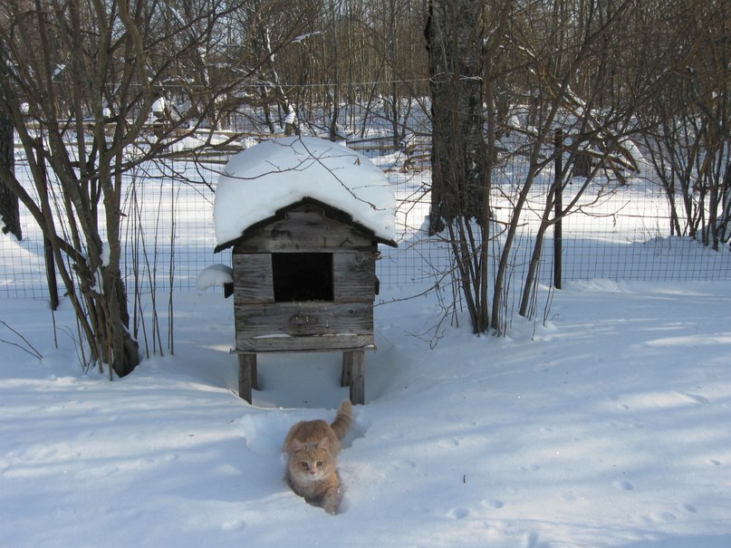 Татьяна Борисова | 