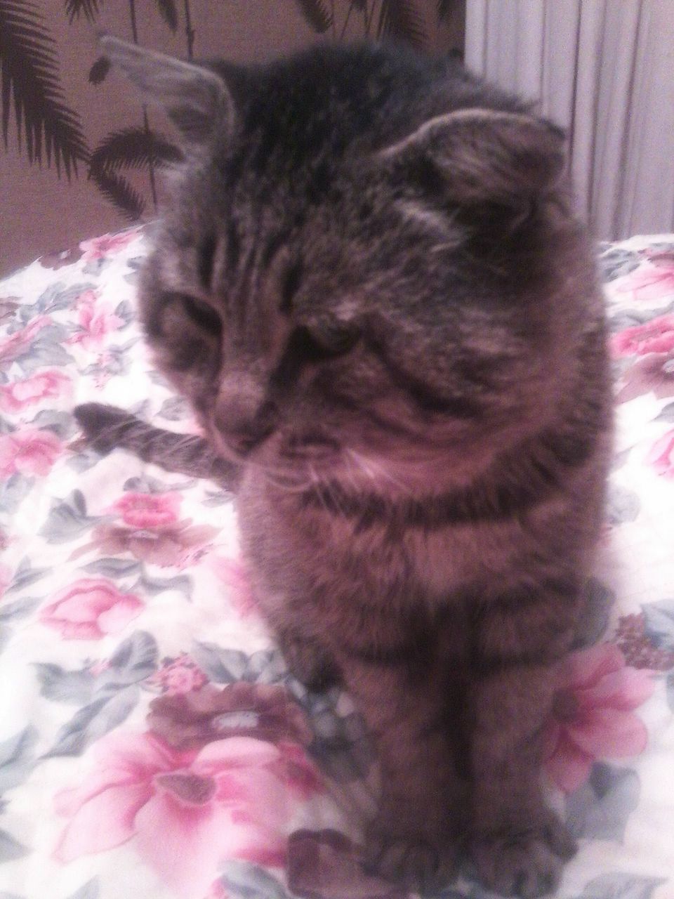 Валерия Волынкина | Нижний Новгород