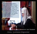 №12 Nik Dobrev