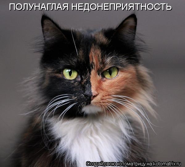 Ярослав Коваленко | Евпатория