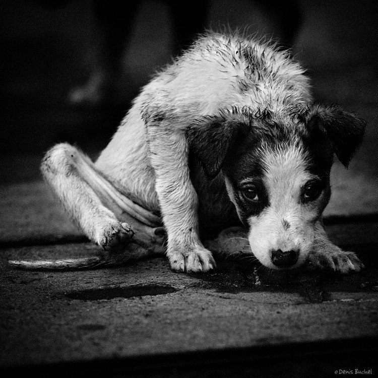 Darya Lee | Алматы