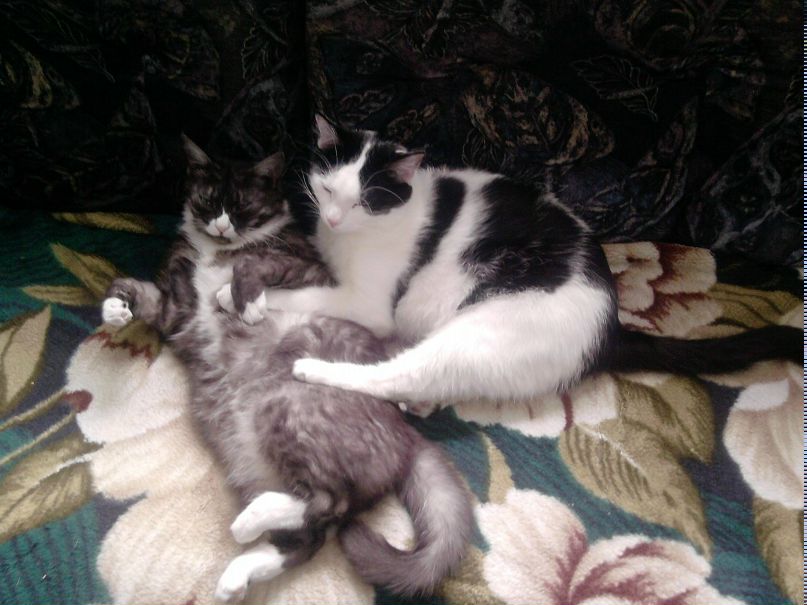 Полина Бондарева | Новополоцк