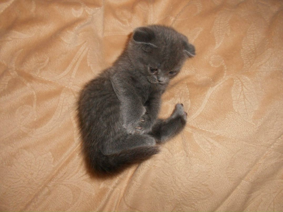 Катя Кулькова | Надым