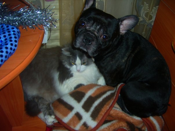 Андрей Цихмистрий | Пермь