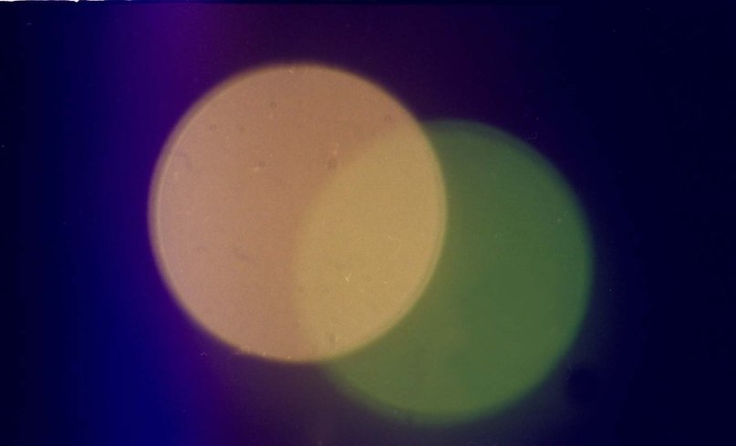 Анна Авраменко | Москва